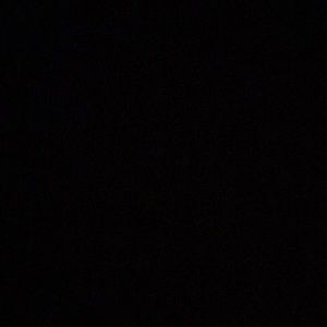 Meet your Posher, Jazlynn